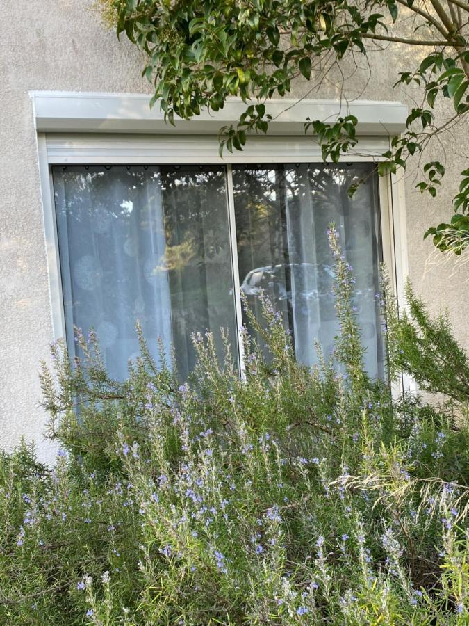 Mas Des Tournevents Panzió Lézignan-Corbières Kültér fotó