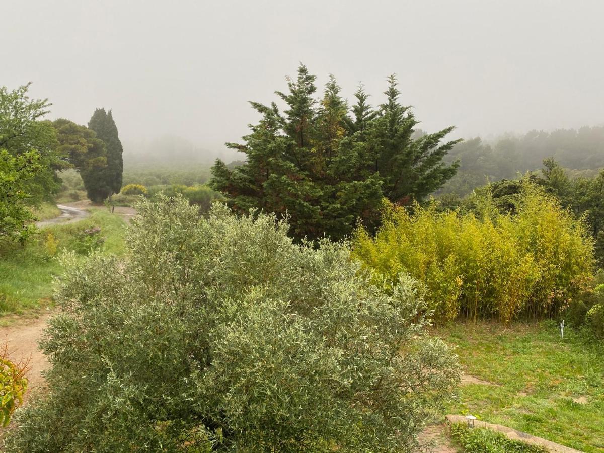 Mas Des Tournevents Panzió Lézignan-Corbières Kültér fotó