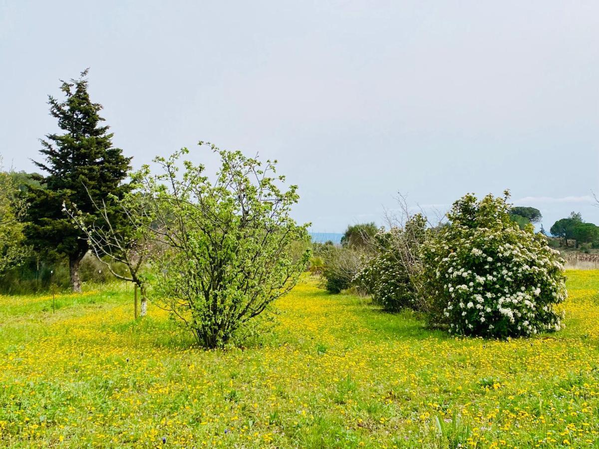 Mas Des Tournevents Panzió Lézignan-Corbières Kültér fotó